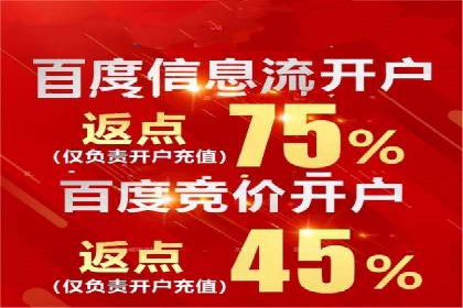 SEM推广策略：成功案例解析